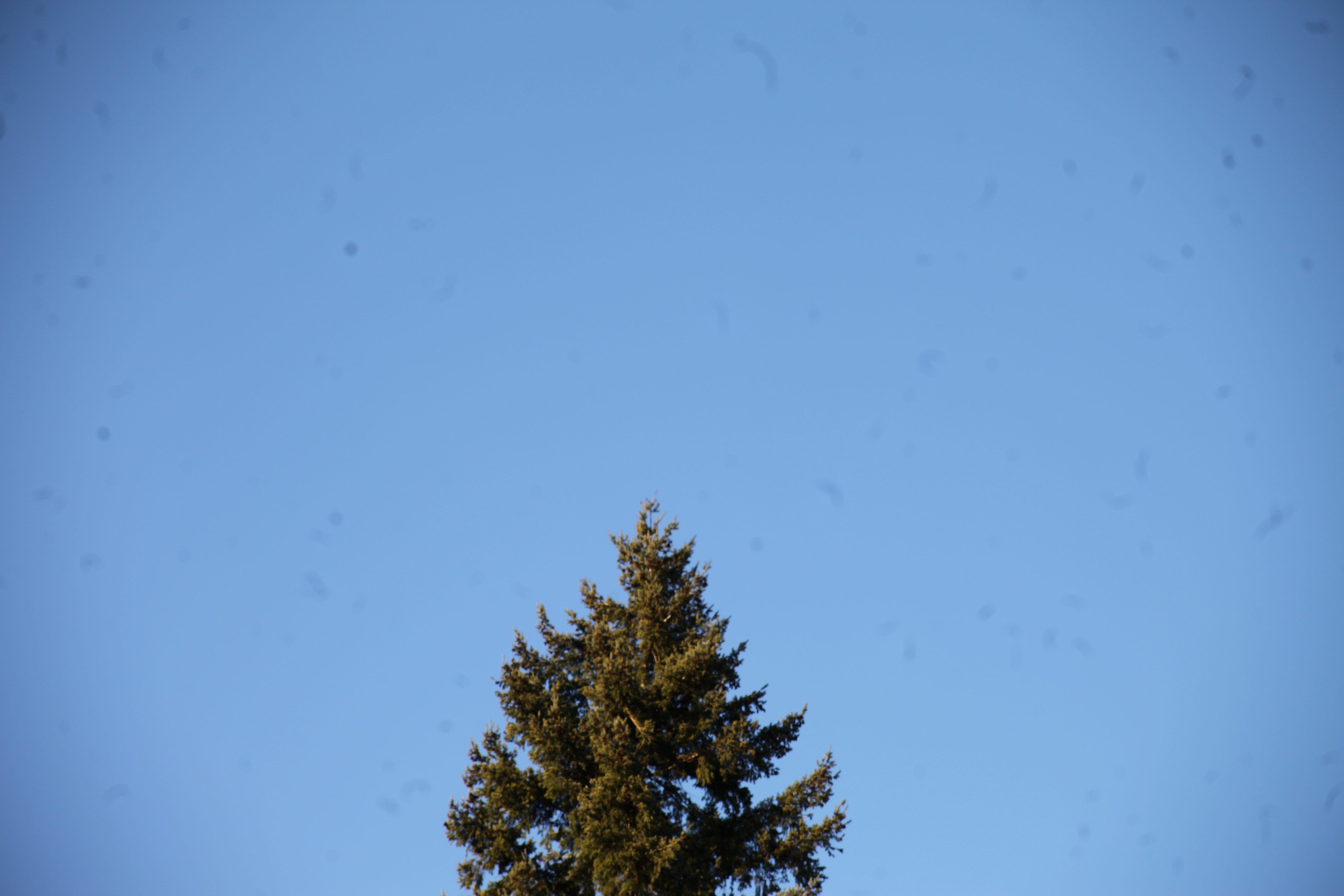 Re-inserted image - same visual content as original